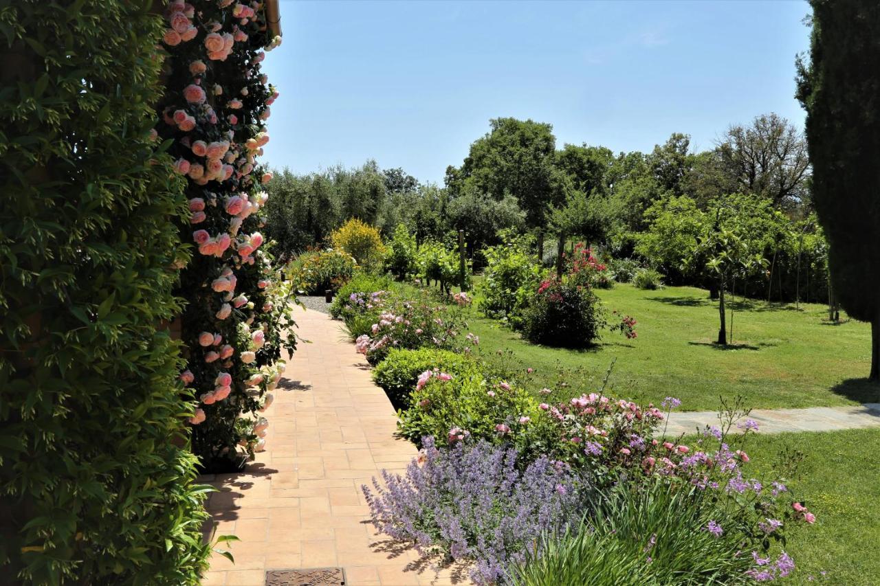 Casa Maria Agriturismo Magliano in Toscana Exterior foto