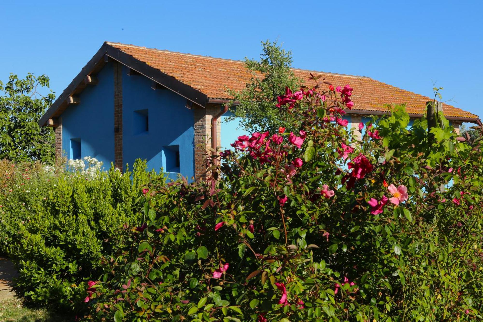 Casa Maria Agriturismo Magliano in Toscana Exterior foto